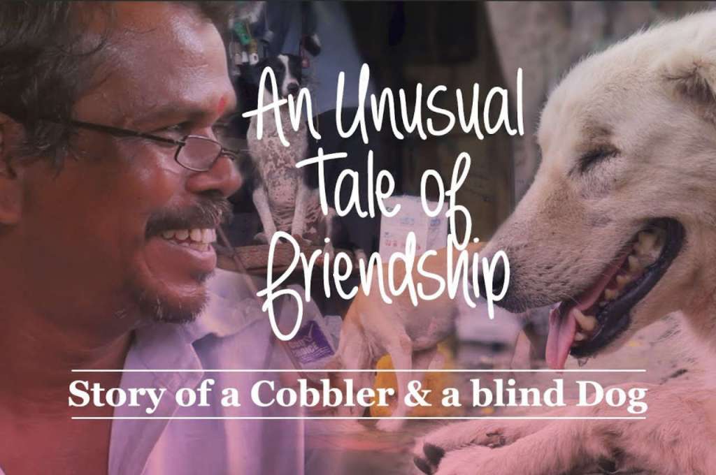Short Doc | Blind dog and his master
