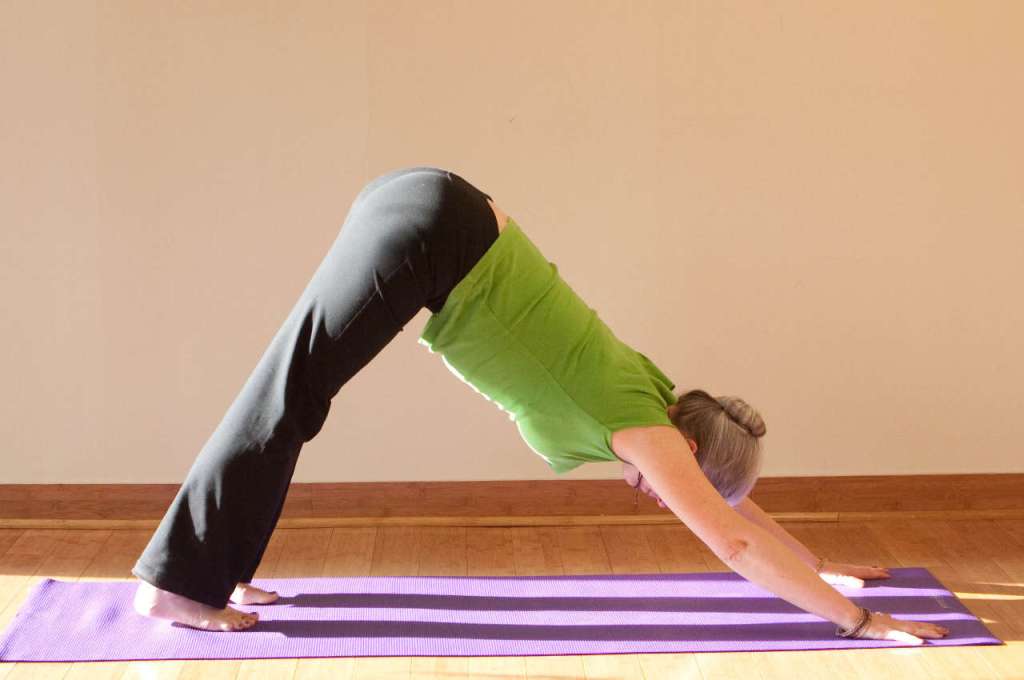 Yoga Day – Beginners of Yoga